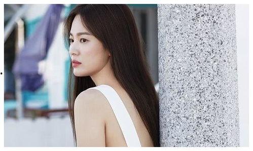 午树福利在线,解锁职场生活新姿势，尽享便捷福利体验